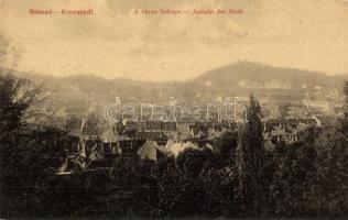 1910 Brassó, Kronstadt, Brasov; látkép. W. L. 140. / general view (EK)