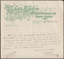 1897 Thék Endre bútorkézműzeti faáru gyára díszes fejléces számla
