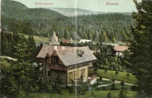 Borszék, Borsec; Reitter nyaraló / villa (fa)