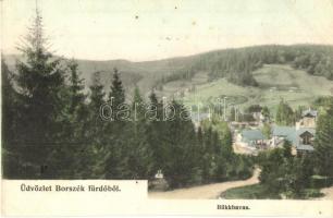 1908 Borszék, Borsec; Bükkhavas / mountain peak (vágott / cut)