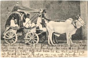 Bullock carriage of a Native State, folklore from Inida (fa)