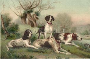 Hunting dogs. litho