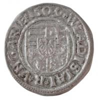 1509K-G Denár Ag "II. Ulászló" (0,6g) T:1-
Hungary 1509K-G Denar Ag "Wladislaus II&q...