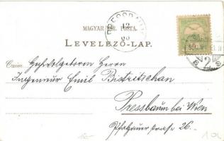 1900 Budapest, Nemzeti Múzeum, Magyar Tudományos Akadémia. Art Nouveau, floral, litho