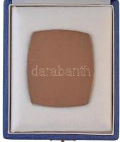 ~1970-1980. "Magyar Bélyeggyűjtők Országos Szövetsége Budapest" Br plakett eredeti, kék to...