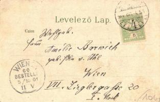 1901 Budapest I. Budai látkép a királyi palotával, vár, uszályok, gőzhajó, rakpart árusokkal. Gustav...