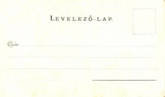 Gödöllő, várkastély. Walter Haertel, C. Andelfinger & Cie. Kunstanstalt Nr. 156. (EK)