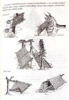 Gerhard Buzek: A túlélés kézikönyve. A rendkívüli és katasztrófahelyzetek túlélésének technikái. For...