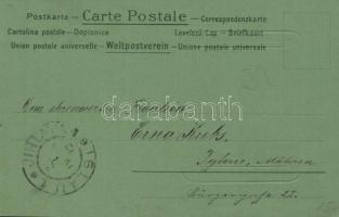 Art Nouveau lady art postcard. Emb. litho