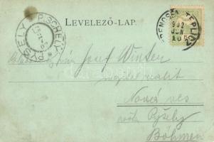 1902 Trencsénteplic, Trencianske Teplice; látkép. Kiadja Edgar Schmidt / general view (EK)