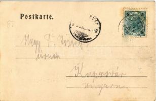 1903 Prevalje, Prävali; mit Pfarrdorf (Kärnten) (wet damage)