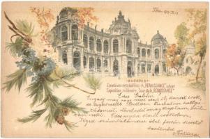 1899 Budapest XIV. Városliget, Ezredéves Országos Kiállítás, Reneszánsz udvar, litho barna 2 Kr. Ga. s: Cserna K. (EK)