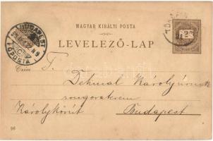 1899 Budapest XIV. Városliget, Ezredéves Országos Kiállítás, Műcsarnok, litho barna 2 Kr. Ga. s: Dör...