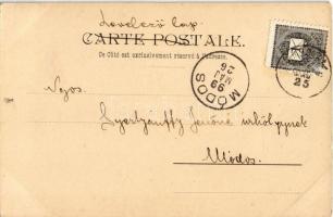 1899 Coeur Dame Heart Lady V. Unsigned Raphael Kirchner