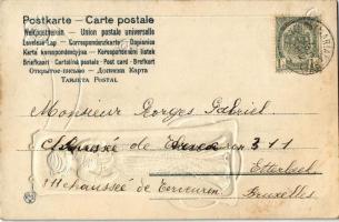 1904 Art Nouveau silver embossed lady. Unsigned Raphael Kirchner (EK)