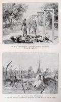 Dr. Cholnoky Jenő: Az egyenlítőtől a sarkvidékig. Bp.,1930,Singer és Wolfner. Fekete-fehér fotókkal ...