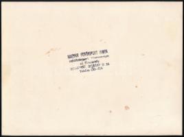 cca 1938 Ruszin-magyar bajtársi rendezvény, fotó, a Magyar Fotóriport Iroda felvétele, hátulján pecs...