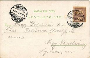 1900 Keszthely, látkép, Festetics palota, kastély, Hullám és Balaton szálloda. Mérei Ignác No. 687. ...