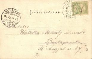 1904 Esztergom, Szentgyörgymezői rész, Bazilika és Papnevelő intézet látképe, utcakép (EK)