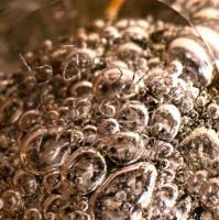 Barovier & Toso Efeso váza, jelzett, csorba és karcolás nélkül, m: 13,5 cm