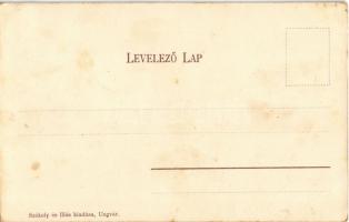 Ungvár, Uzshorod, Uzhorod; híd. Székely és Illés kiadása / bridge  (fl)