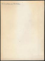 cca 1940-1950 Nádaratás a Fertőn, fotó, hátulján feliratozva, 23,5×17,5 cm