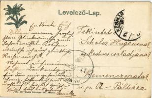 1908 Késmárk, Kezmarok; Fő utca, templom, korabeli színésznő portréja (?). Feitzinger Ede No. 361. /...