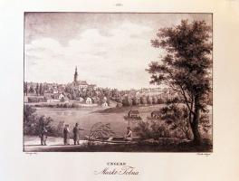 Tolnát ábrázoló XIX. századi metszet felnagyítva (47x35cm)