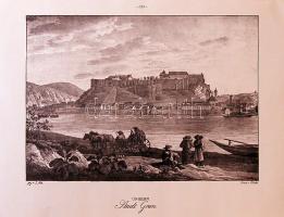 Esztergomot ábrázoló XIX. századi metszet felnagyítva (47x35cm)