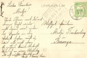 Rajka, Grófi palota (Zichy-Hennin kastély), malacok az utcán, látkép + 1911 Bezenye Postai ügyn. pec...