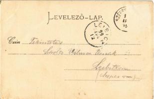 1899 (Vorläufer) Szepesváralja, Spisské Podhradie; Fő tér, várrom, I. Ferenc József. Szuller Géza ki...