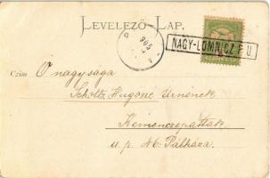 1905 Tátralomnic, Tatranska Lomnica; Báró Lipthay nyaraló. Julius Kuszmann kiadása / villa (EK)