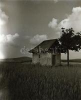 cca 1940 Privát negatívok ismeretlen szerzőtől, 99 db vintage negatív, 6x6 cm