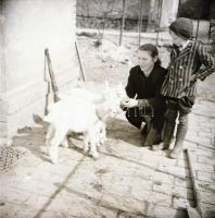 cca 1940 Privát negatívok ismeretlen szerzőtől, 99 db vintage negatív, 6x6 cm