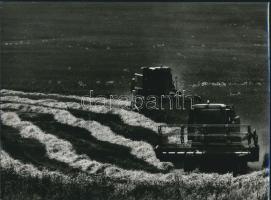 cca 1966 Szabó László: Aratás, feliratozott vintage fotóművészeti alkotás, 18x24 cm