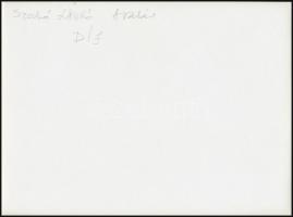 cca 1966 Szabó László: Aratás, feliratozott vintage fotóművészeti alkotás, 18x24 cm