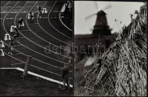 cca 1975 Zsigri Oszkár (1933-?): Erdő irtás, pecséttel jelzett, vintage fotóművészeti alkotás, 15x23...