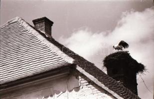 cca 1978 Kecskemét, várostörténeti szempontból érdekes felvételek, 95 db vintage negatív, tároló tas...