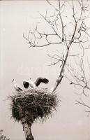 cca 1978 Kecskemét, várostörténeti szempontból érdekes felvételek, 95 db vintage negatív, tároló tas...