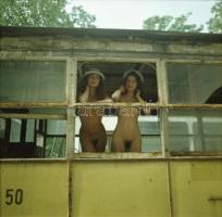 1989 Menesdorfer Lajos (1941-2005) budapesti fotóművész hagyatékából 13 db vintage negatív, a Fogask...