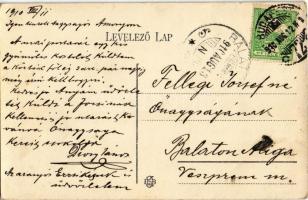 1910 Budapest XVI. Mátyásföld, Diósy nyaraló