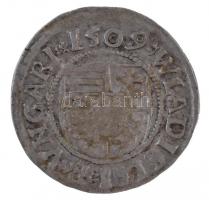 1509K-G Denár Ag "II. Ulászló" (0,6g) T:1-,2
Hungary 1509K-G Denar Ag "Wladislaus II...