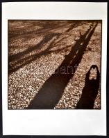 cca 1979 Szathmáry-Király Ádámné: Árnyak, feliratozott, vintage fotóművészeti alkotás, a magyar foto...