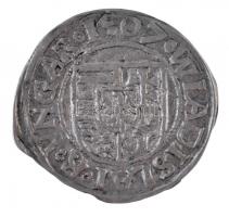 1507K-H Denár Ag "II. Ulászló" (0,6g) T:1-
Hungary 1507K-H Denar Ag "Wladislaus II&q...