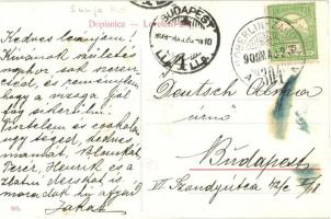 1909 Sunja, utcakép / street view. W.L. (?) 905. + "DOBERLIN-ZAGRAB" mozgóposta