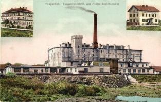 Pragersko, Pragerhof; Tonwarenfabrik von Franz Steinklauber / pottery factory