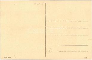 Nagybecskerek, Zrenjanin, Veliki Beckerek; Közgazdasági bank részvénytársaság, Bőriparosok szövetkez...