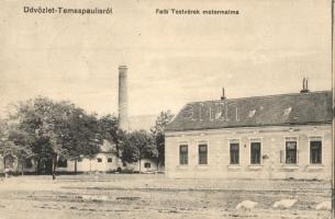 Temespaulis, Pavlis; Falb Testvérek motormalma / engine mill (EK)