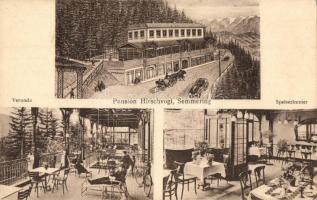 Semmering, Pension Hirschvogl, Veranda, Speisezimmer / hotel interior, dining hall