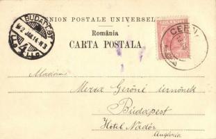 1902 Cernavoda, Bricul Mircea / Romanian vessel